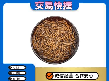 山城区高价回收散虫草